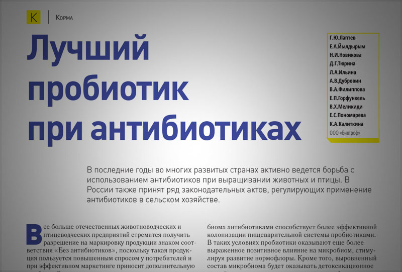 Лучший пробиотик при антибиотиках